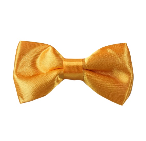 Boy's Yellow Bow Tie
