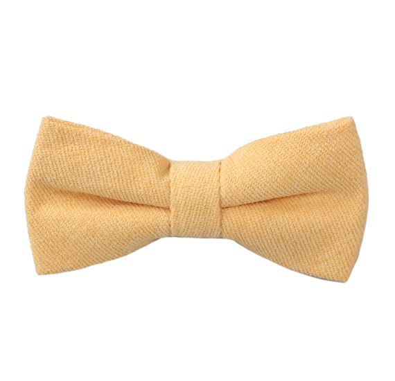 Yellow Boy's Bow Tie