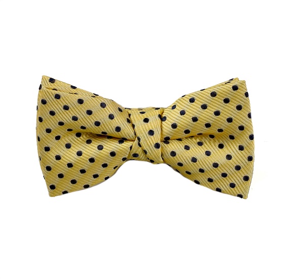 Boy's Yellow Polka Dots Bow Tie