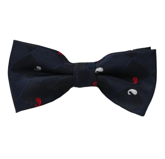 Boy's Dark Blue with Paisley Bow Tie