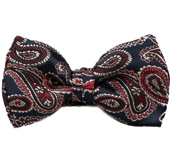 Boy's Paisley Bow Tie
