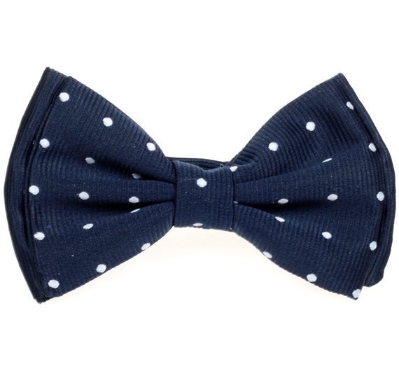 Boy's Dark Blue Bow Tie with Dots