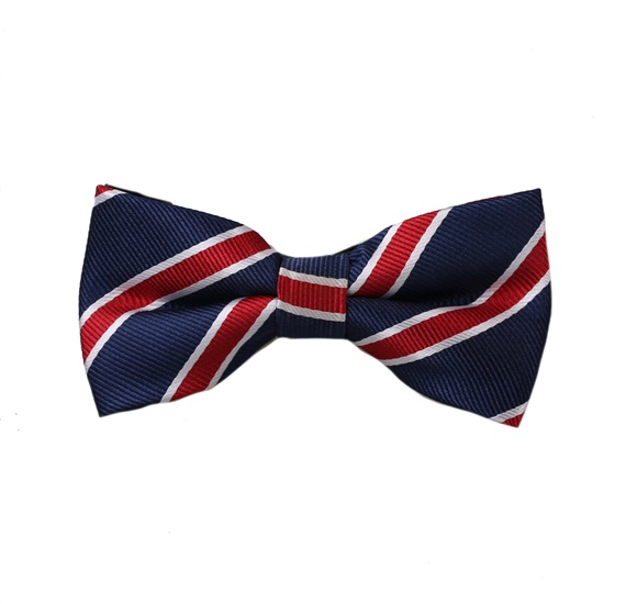 Boy's Striped Bow Tie