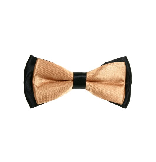 Boy's Black and Camel Bow Tie