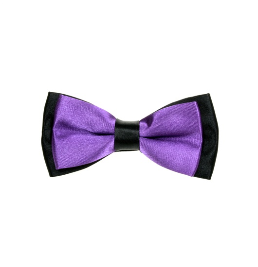 Boy's Black and Purple Bow Tie