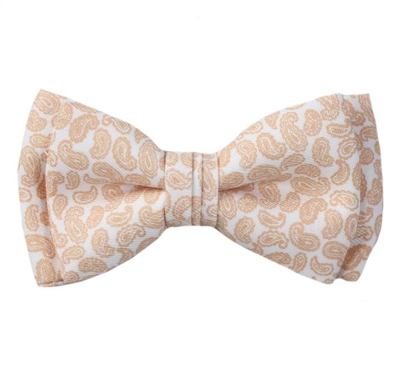 White Boy's Bow Tie with Paisley