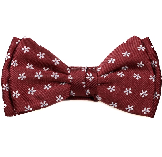 Boy's Burgundy Bow Tie with Daisies