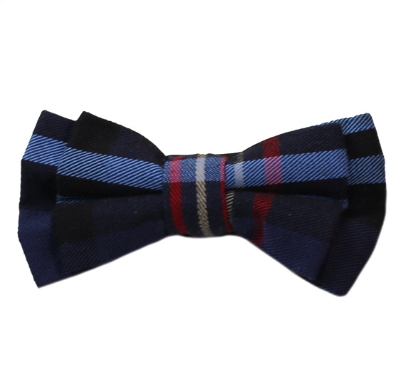 Boy's Blue and Red Tartan Bow Tie