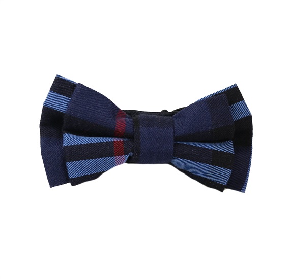 Boy's Blue and Red Tartan Bow Tie