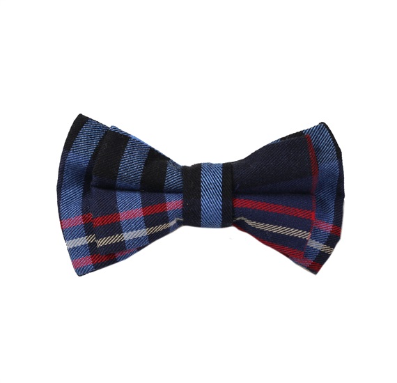 Boy's Blue and Red Tartan Bow Tie