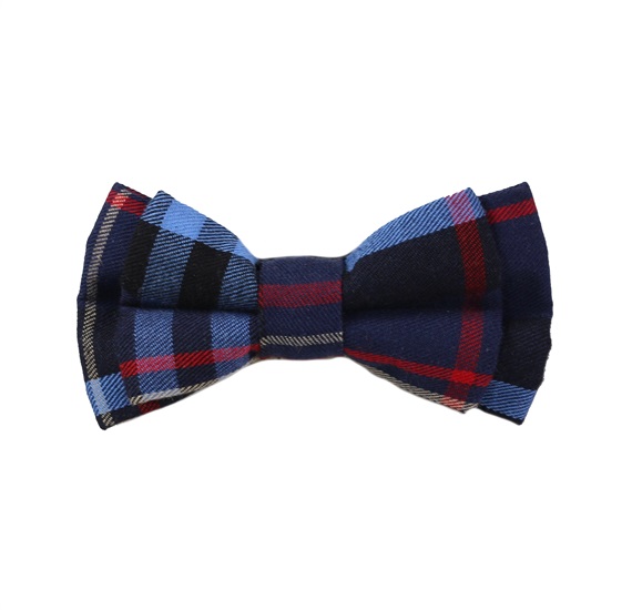 Boy's Blue and Red Tartan Bow Tie