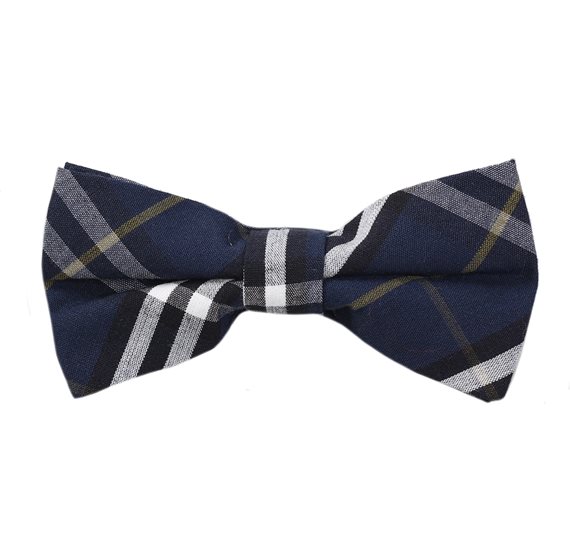 Blue Tartan Boy's Bow Tie