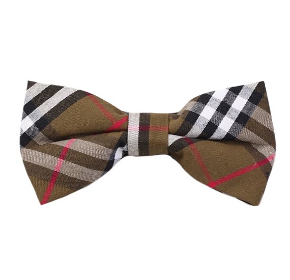 Green Tartan Boy's Bow Tie