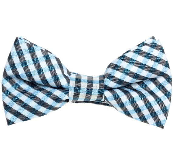 Boy's Blue and Black Vichy Checked Bow Tie
