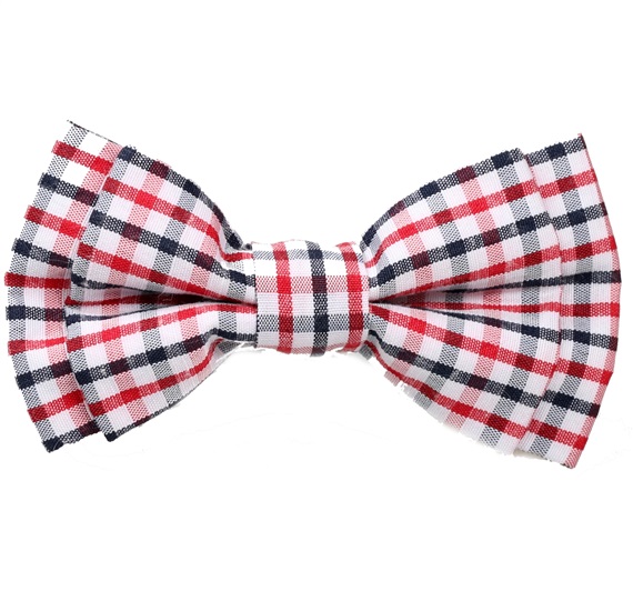 Boy's Checked Bow Tie