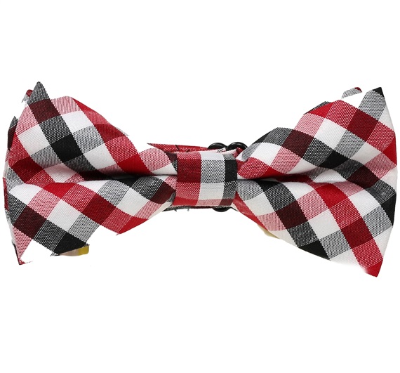 Boy's Vichy Checked Bow Tie