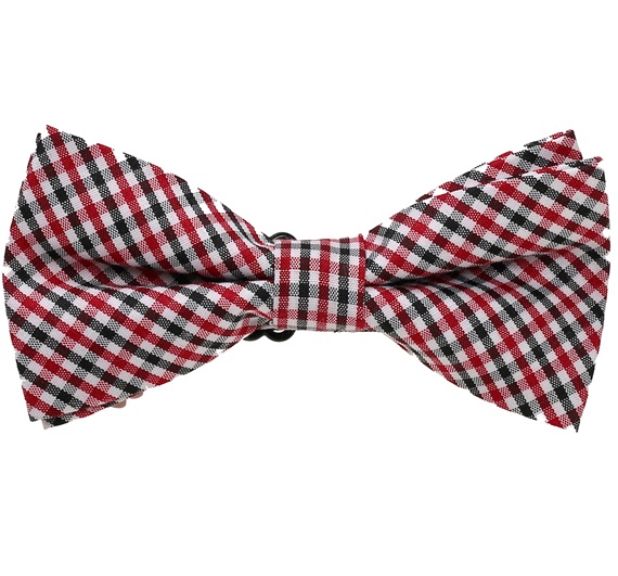 Boy's Plaid Bow Tie