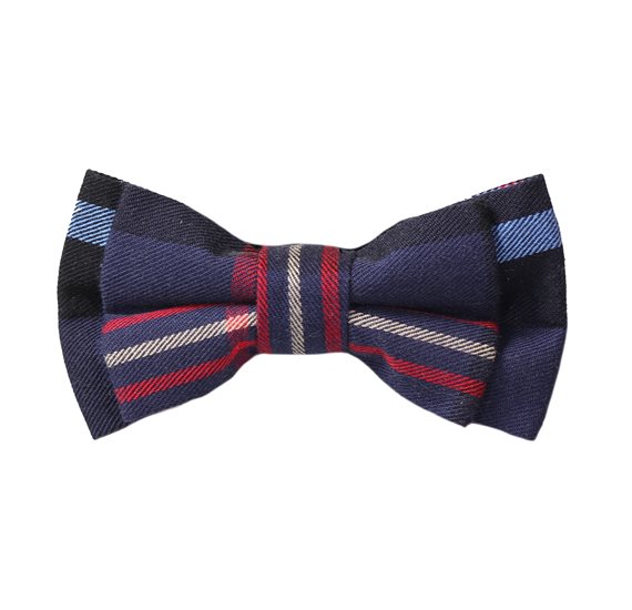 Boy's Blue and Red Tartan Bow Tie