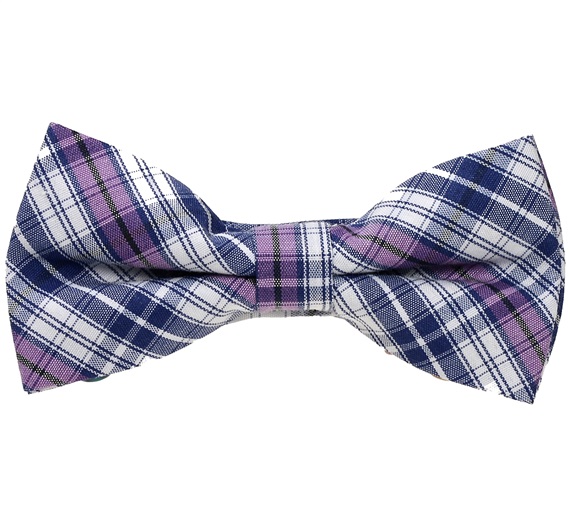 Boy's Blue and Purple Tartan Bow Tie