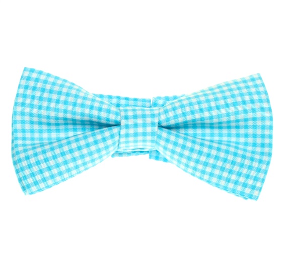 Boy's Turquoise Vichy Checked Bow Tie