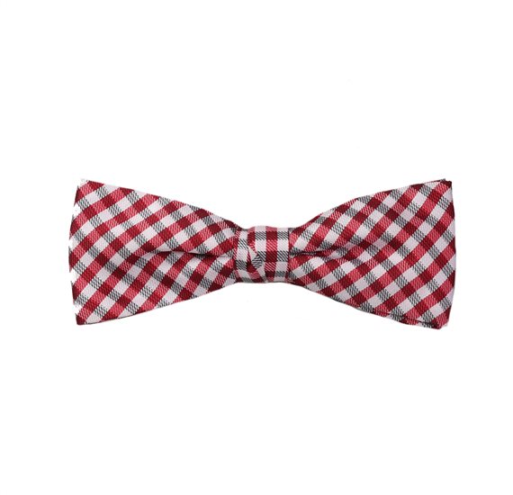 Boys' Checked Bow Tie
