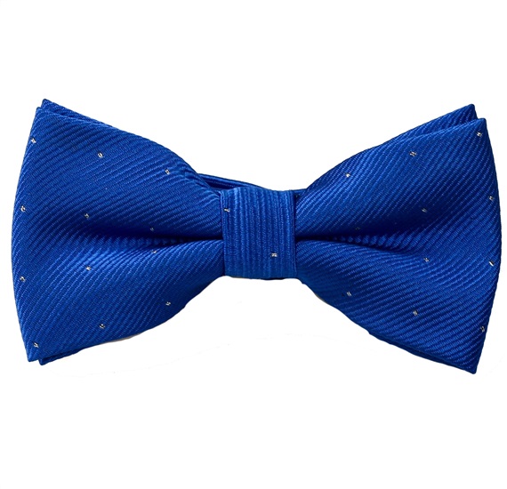 Boy's Royal Blue Bow Tie with Dots