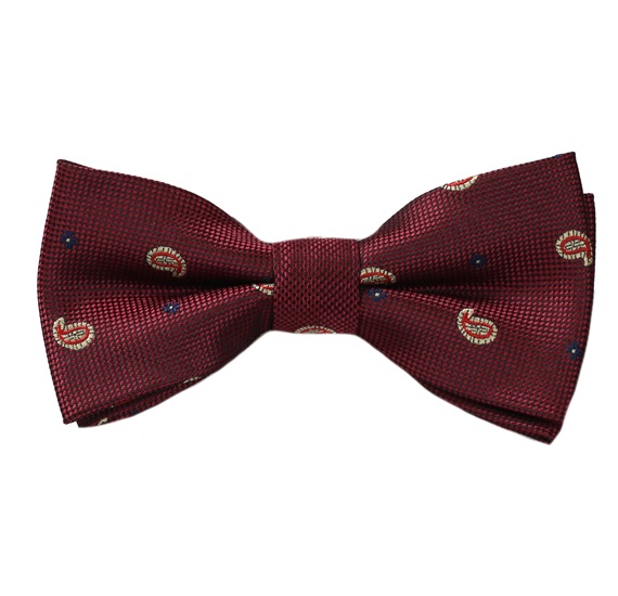Boy's Garnet with Paisley Bow Tie