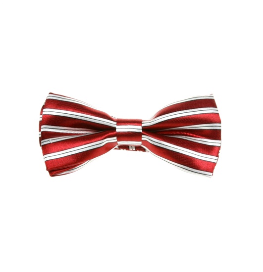 Boy's Garnet and White Stripes Bow Tie