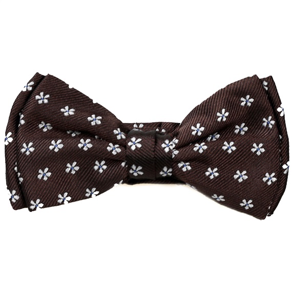 Boy's Brown Bow Tie with Daisies