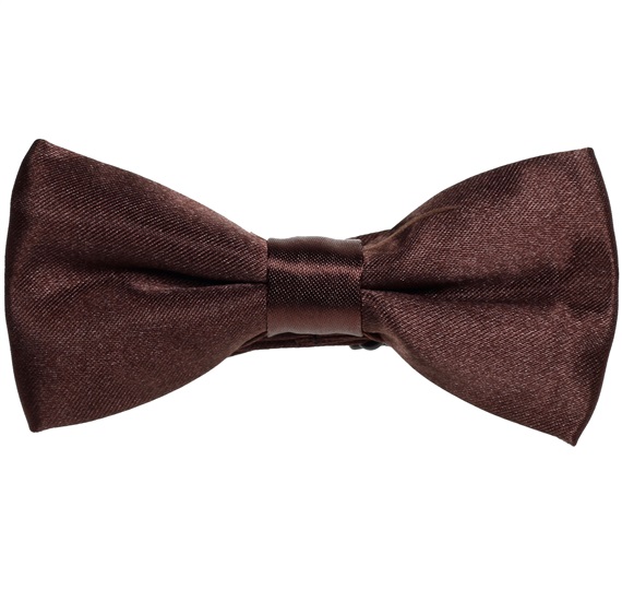 Boy's Brown Bow Tie