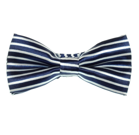 Boy's Deep Blue and White Stripes Bow Tie