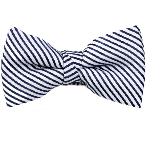 Boy's Striped Bow Tie