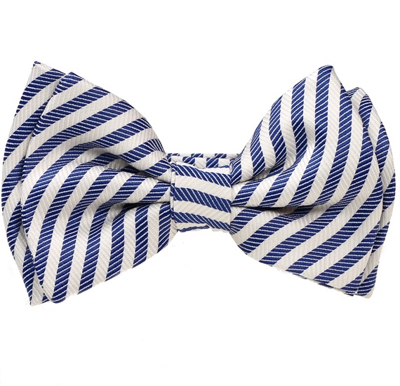 Boy's Striped Bow Tie
