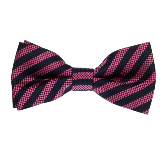 Boy's Blue and Magenta Stripes Bow Tie
