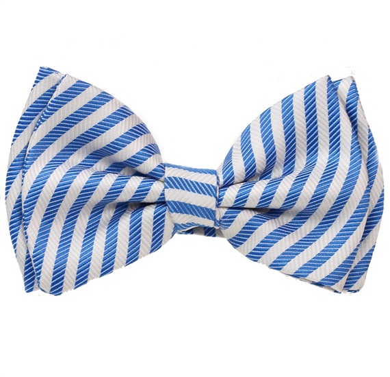 Boy's Royal Blue and White Stripes Bow Tie