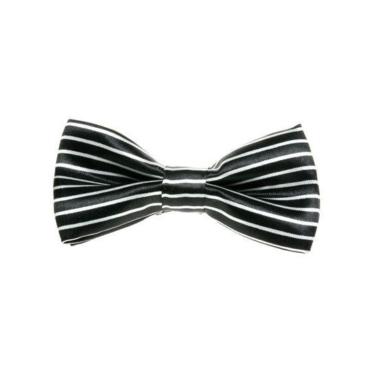 Boy's White and Black Stripes Bow Tie