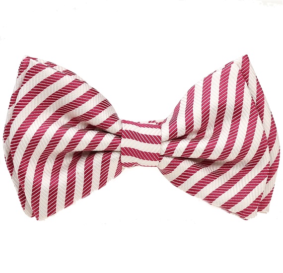 Boy's Striped Bow Tie