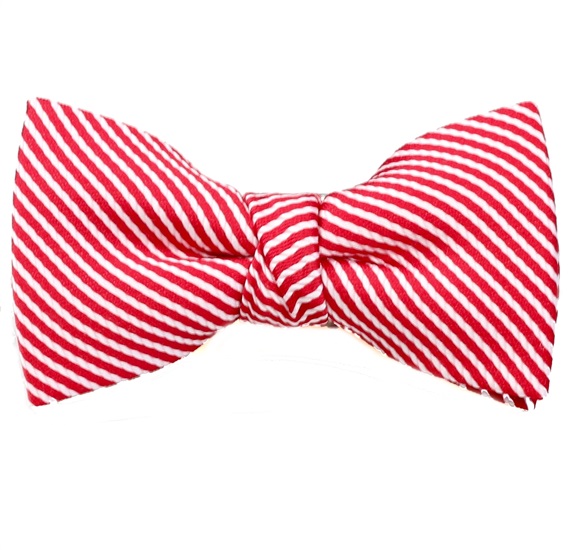 Boy's Striped Bow Tie