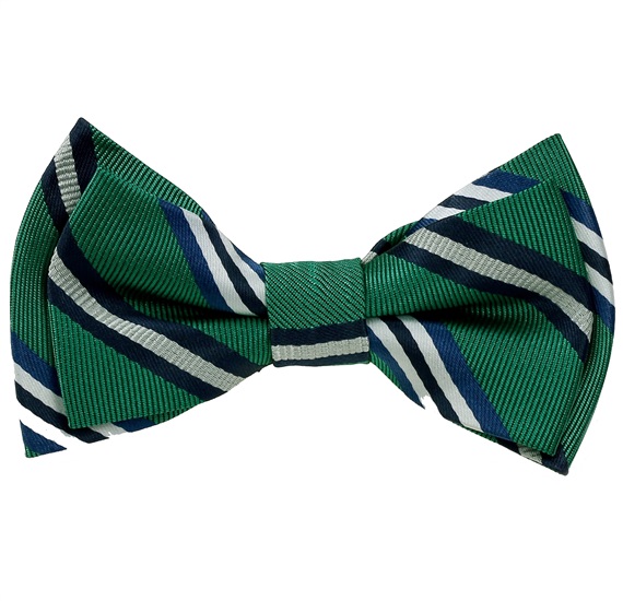 Boy's Striped Bow Tie