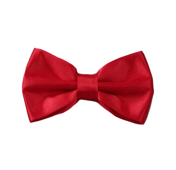 Boys' Red Bow Tie
