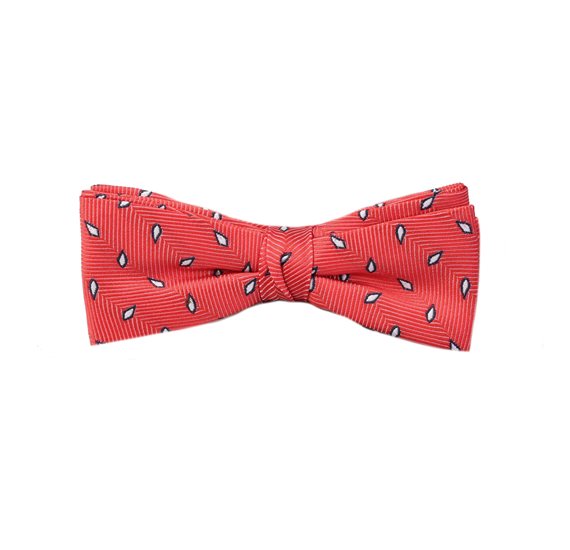Boys' Coral Red with Grey Leaf Bow Tie
