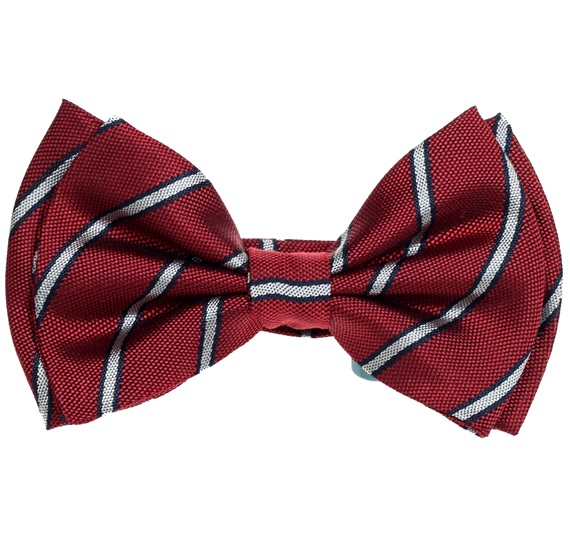 Boy's Garnet Silk Bow Tie with Stripes