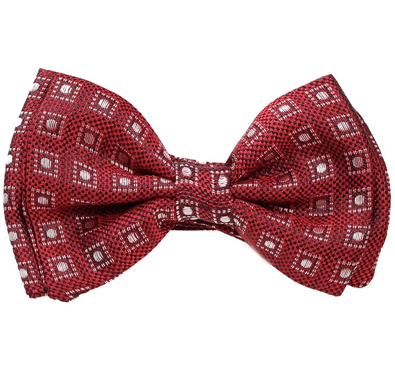 Boy's Garnet Silk Bow Tie