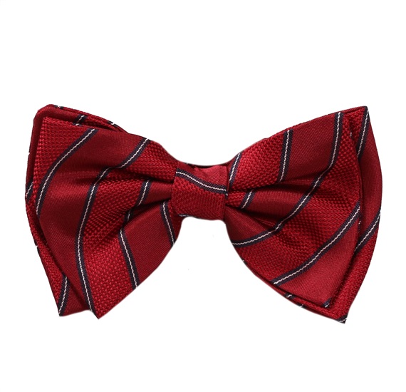 Boy's Garnet Silk Bow Tie