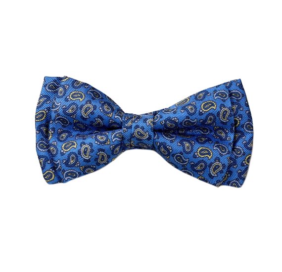 Royal Blue Silk Boy's Bow Tie with Paisley