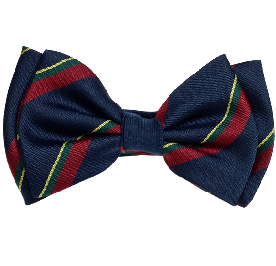 Boy's Striped Silk Bow Tie