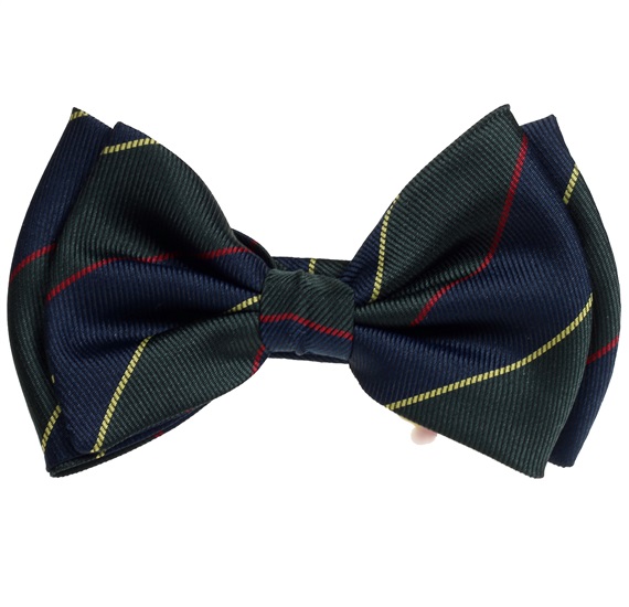 Boy's Silk Bow Tie with Stripes