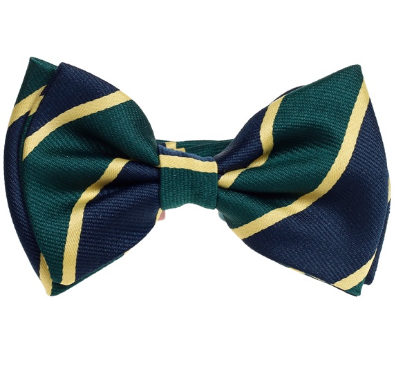 Boy's Silk Bow Tie with Stripes