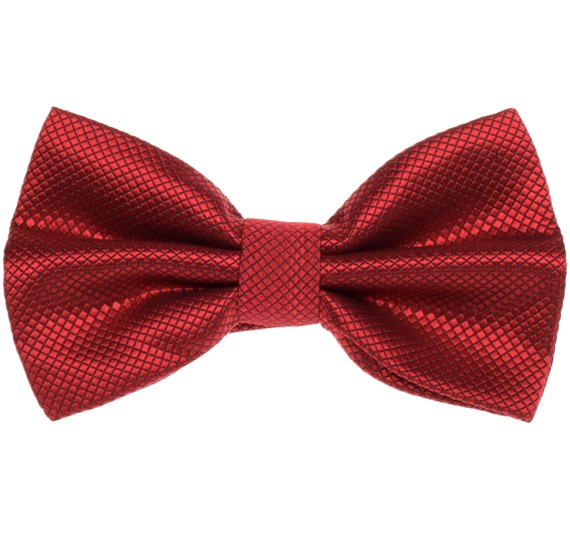 Garnet Satin Dress Bow Tie