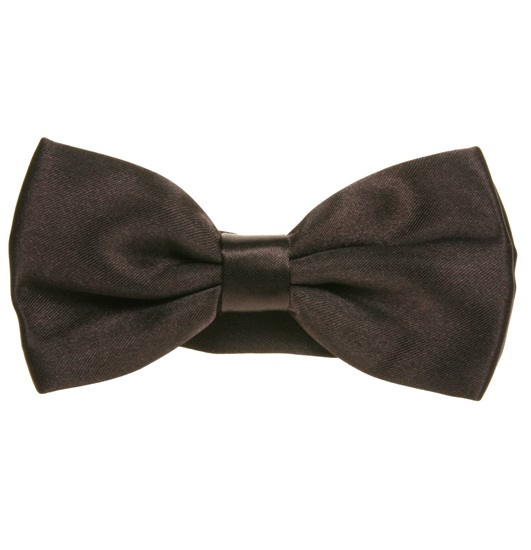 Brown Satin Bow Tie